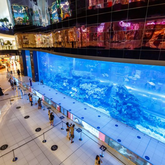 Dubai, United Arab Emirates - May 27, 2021: Dubai Mall Aquarium Luxury Shopping Center in Dubai, United Arab Emirates.